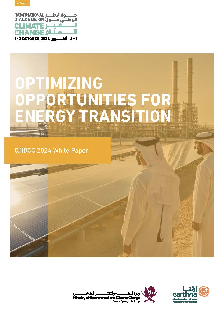 Optimizing Opportunities for Energy Transition