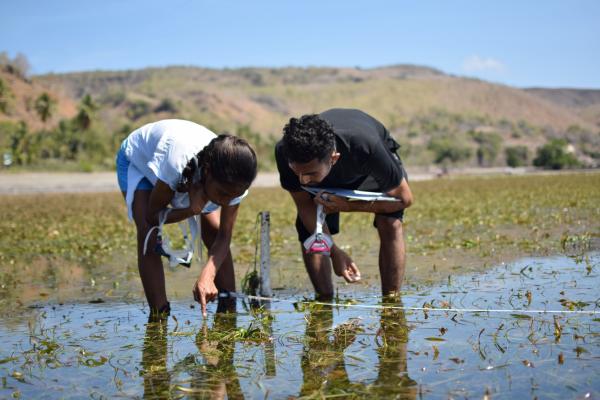 Rebuilding tropical fisheries with coastal communities