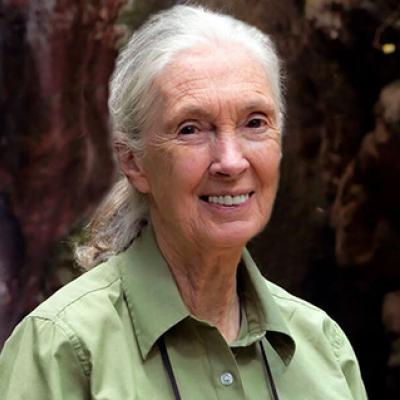 Dr. Jane Goodall, DBE